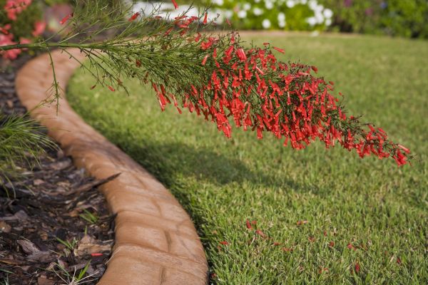 Brick Edging in San Mateo