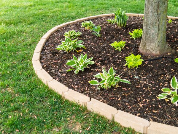 Stone Border Installation in San Mateo