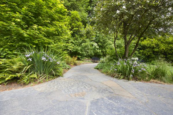 Stone Hardscape Service in San Mateo