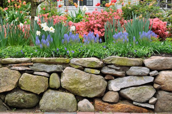 Garden Wall Installation in San Mateo