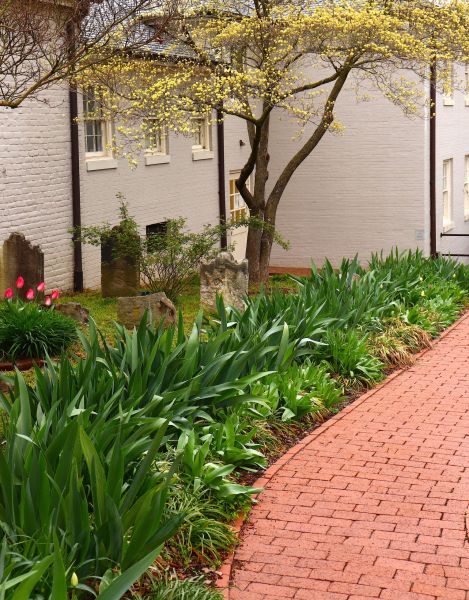 Brick Flatwork Repair in San Mateo